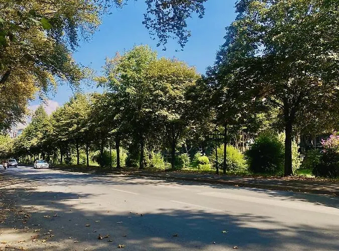 アパート Jolie Center